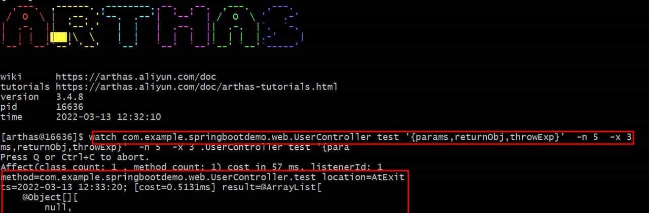 使用arthas实时追踪docker容器上部署的Java程序的方法出入参