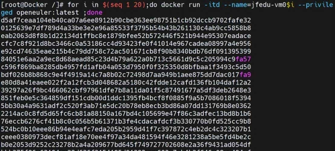 Docker部署OpenEuler系统