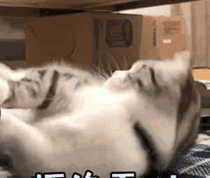 教你用 Python 爬取 Baidu 文库全格式文档