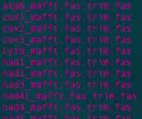 linux版本mrbayes和iqtree跑多基因树