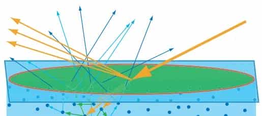 简谈实时皮肤渲染之预积分SSS