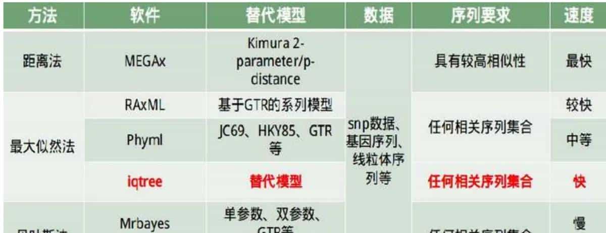 IQtree：使用 SNP 数据构建系统发育树