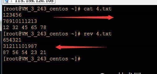 Linux的常用Shell命令新手入门：文件查看2