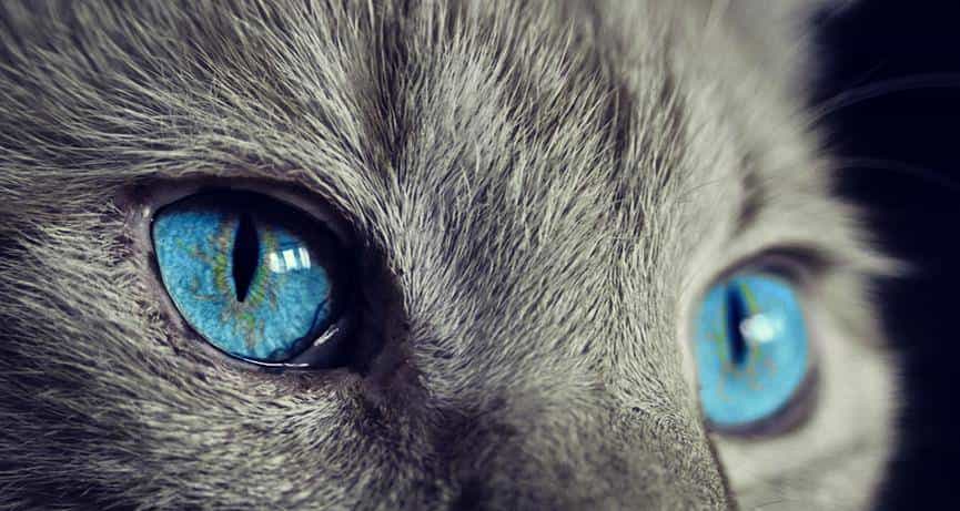 多晒太阳有利于控制血糖？