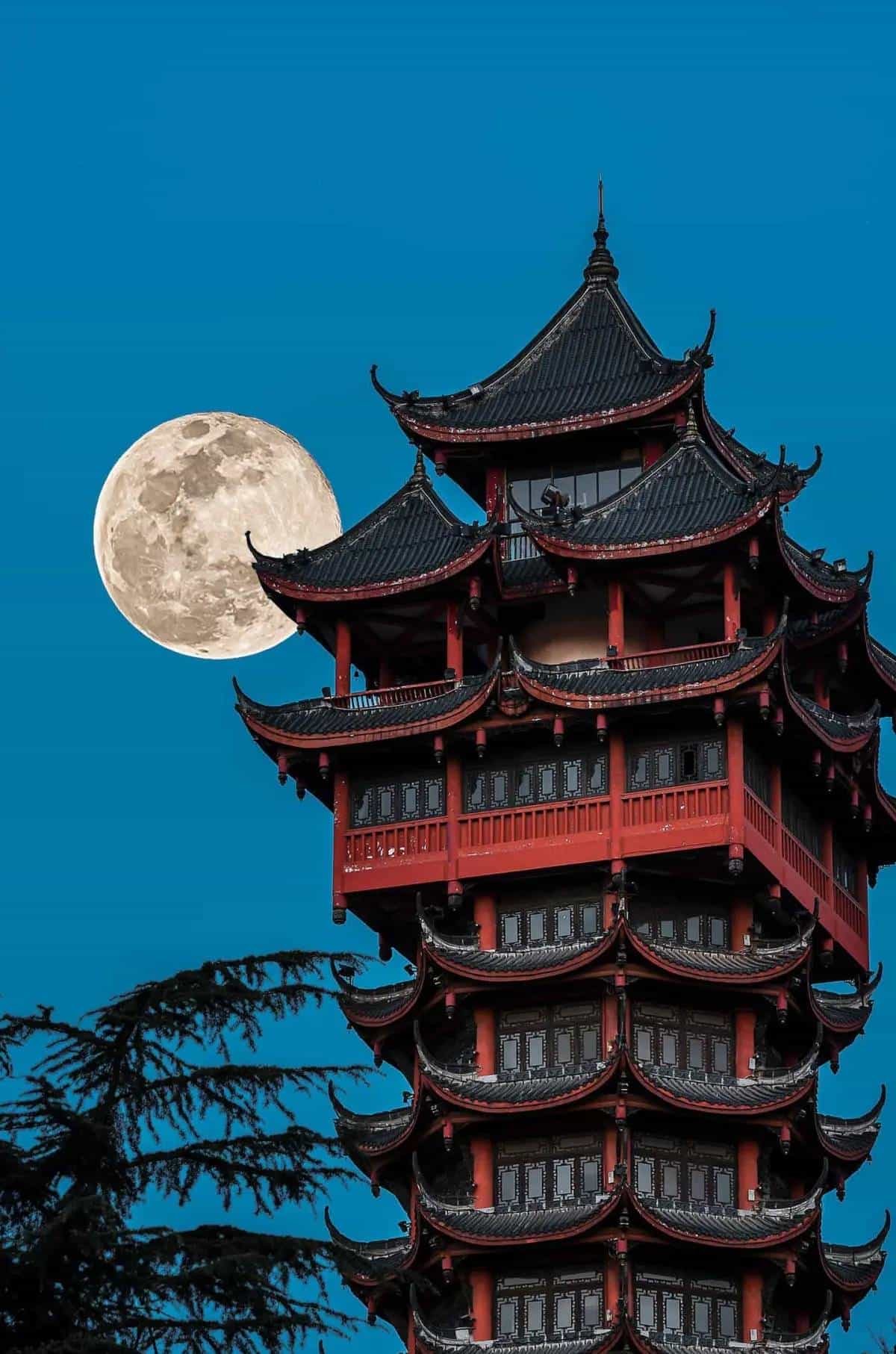 宋词300首(232)苍梧谣·天.蔡伸