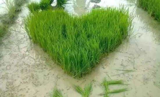 再不学习这些高能表白姿势，今年七夕你还是单身老狗！