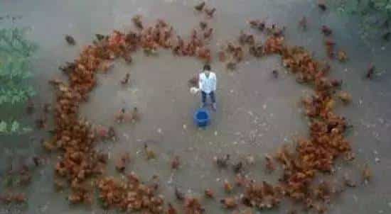 再不学习这些高能表白姿势，今年七夕你还是单身老狗！