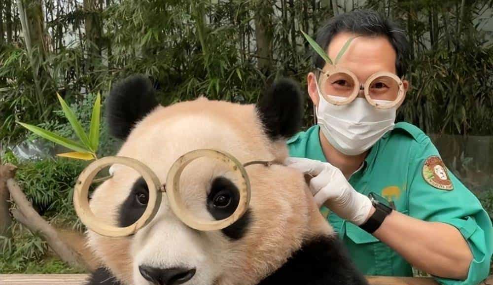 手机的天线去哪了？| No.350