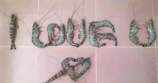 再不学习这些高能表白姿势，今年七夕你还是单身老狗！