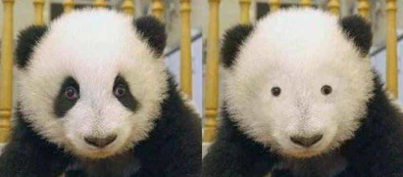 手机的天线去哪了？| No.350