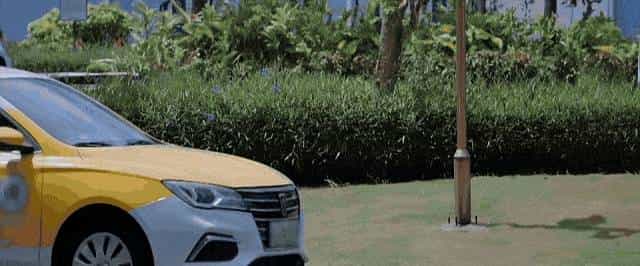 性缩力拉满的苦命CP，求你们别卖了