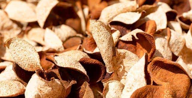 “十年陈皮”竟是速成假货：你喝下去的不是养生，是商家的暴利