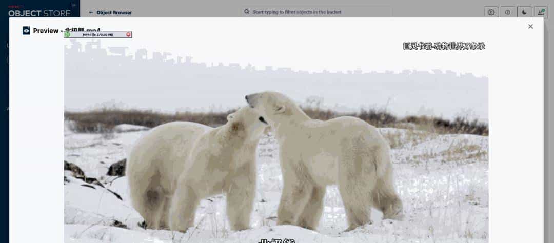 基于源码构建 Minio