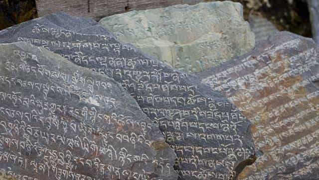 《七日回响》,全文4万多字,一口气看完