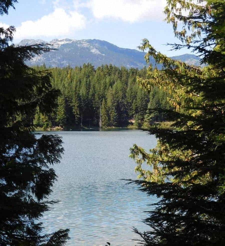 《退签》里藏的生存智转.智真水‘深不语的秘决