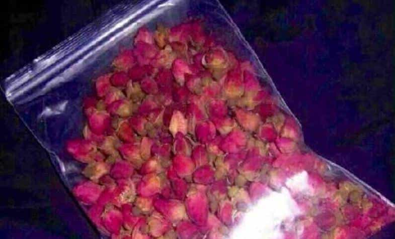 已哭晕丨iPhone日期调到1970年秒变砖