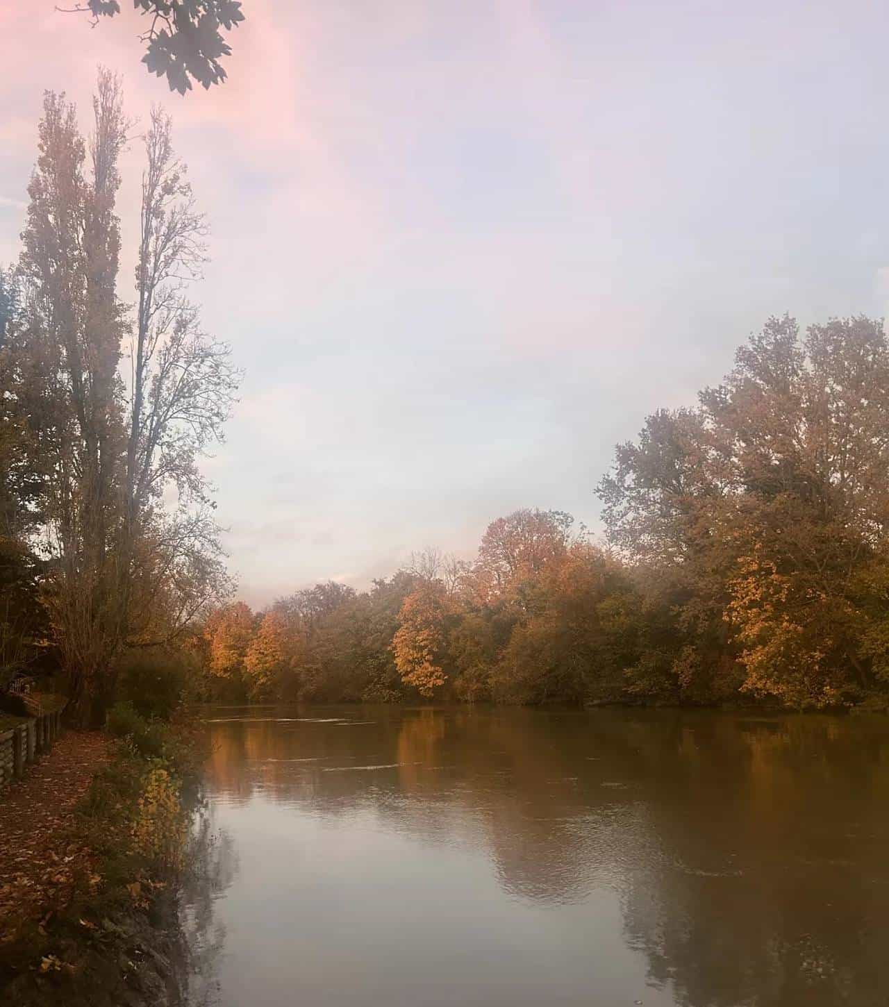 《退签》里藏的生存智转.智真水‘深不语的秘决