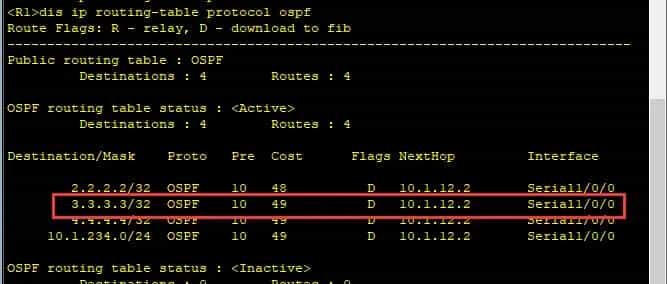 【HCIP】2OSPF协议-2.5OSPF的链路状态信息（1类LSA中）