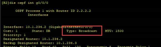 【HCIP】2OSPF协议-2.5OSPF的链路状态信息（1类LSA中）