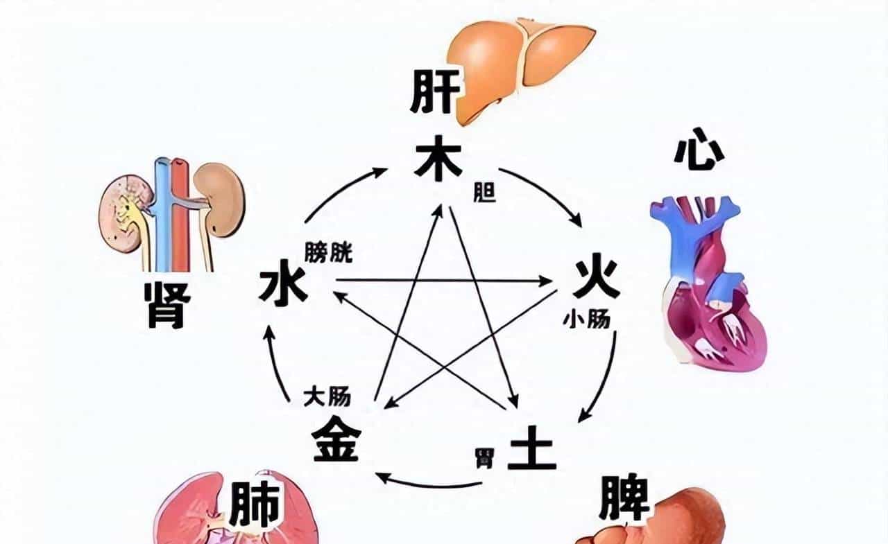 1个被低估的药方，专治口苦咽干，耳聋耳鸣！