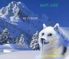 高考特辑 |最全的985和211大学名单！