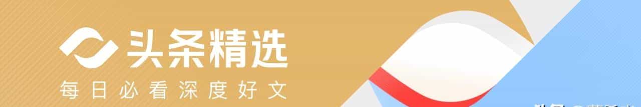 资本狂飙，市占率却不足1%：国产GPU 的狂欢与尴尬