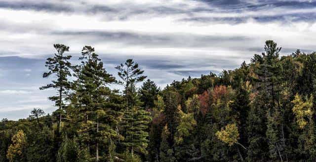 男人真的爱你，不会叫你“老婆”，而是这3种称呼