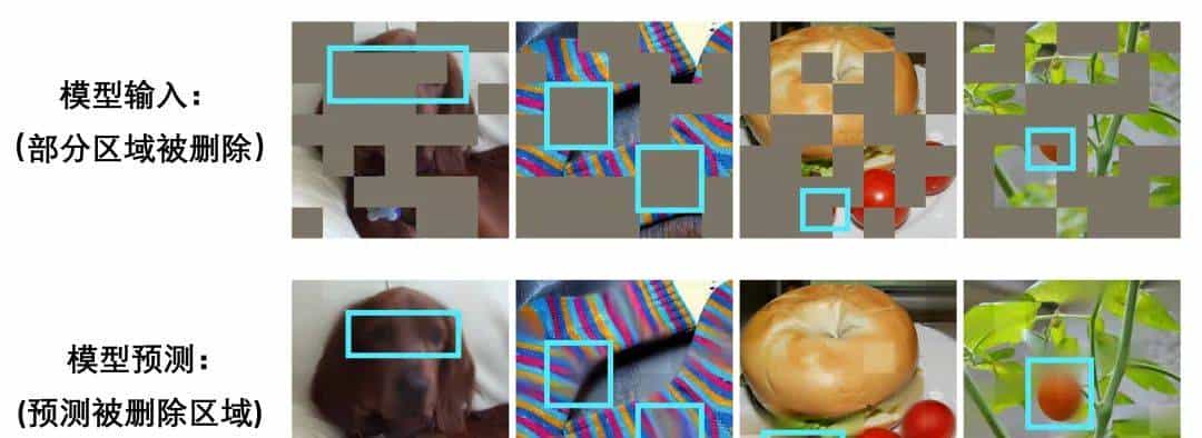 ICLR Spotlight | 卷积网络上的首个BERT/MAE预训练，ResNet也能用