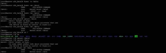 nfs实战之：磁盘迁移