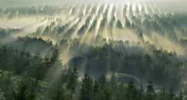 为孩子签收这份“好运签贵人马上到，人生一路开挂！深夜翻朋友圈