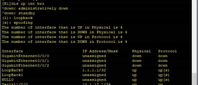 【HCIP】2OSPF协议-2.4OSPF的链路状态信息（1类LSA上）