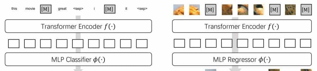 ICLR Spotlight | 卷积网络上的首个BERT/MAE预训练，ResNet也能用