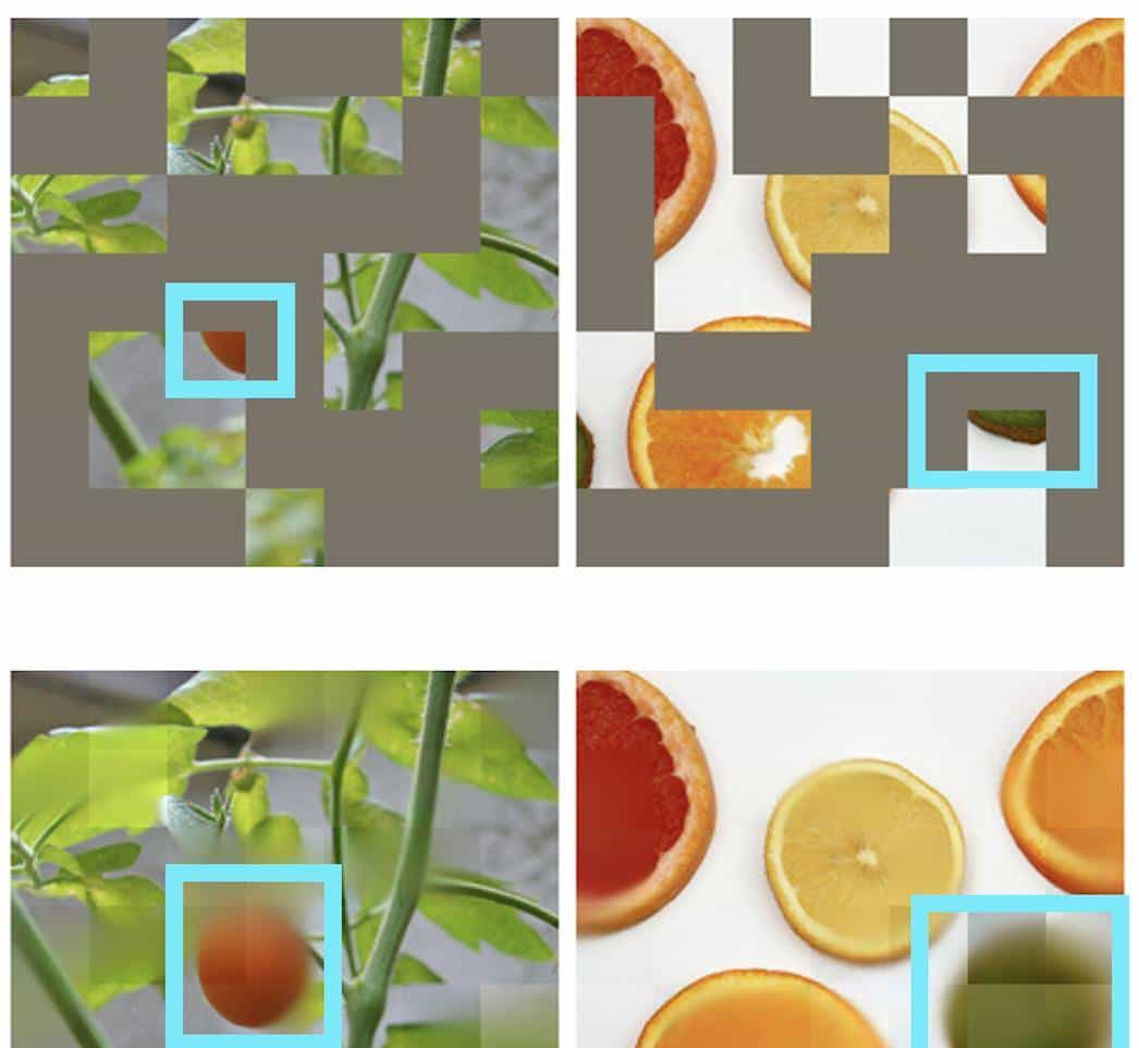 BERT在CNN上也能用？看看这篇ICLR Spotlight论文丨已开源