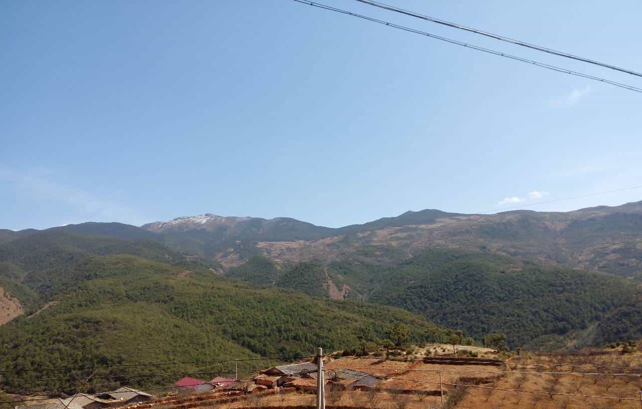 我不只是路过的甲