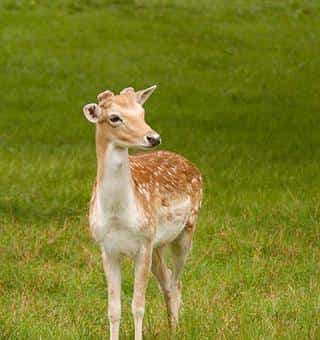 零基础学习Opencv第17节-多通道颜色的分离与混合