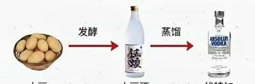 大模型常见的名词术语（模型参数、上下文长度、量化、蒸馏等）