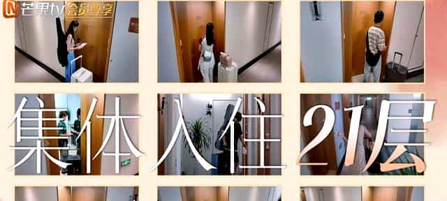 性缩力拉满的苦命CP，求你们别卖了