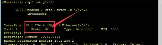 【HCIP】2OSPF协议-2.5OSPF的链路状态信息（1类LSA中）