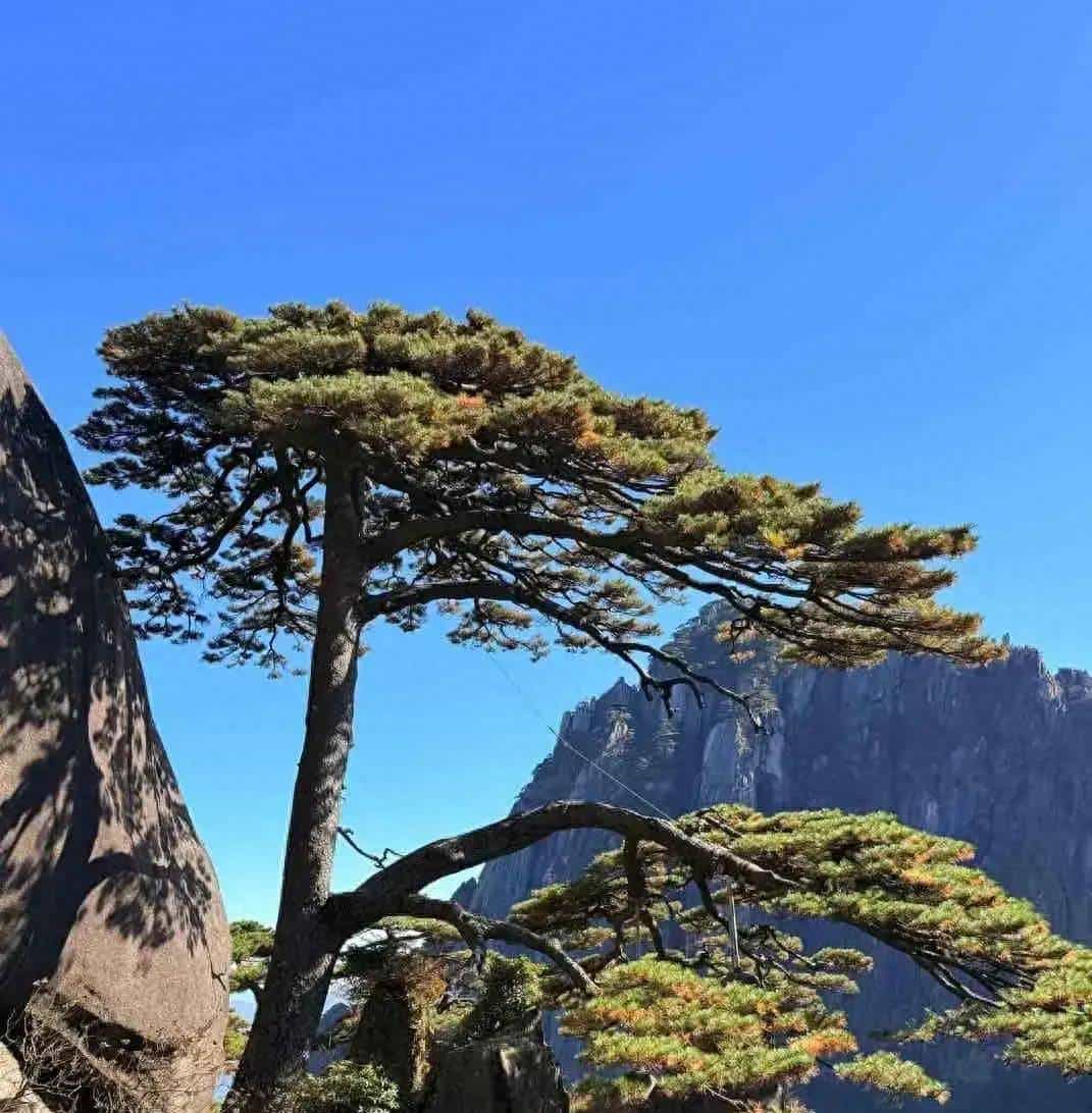 把催收发的短信复制一下在后面加上你要说的