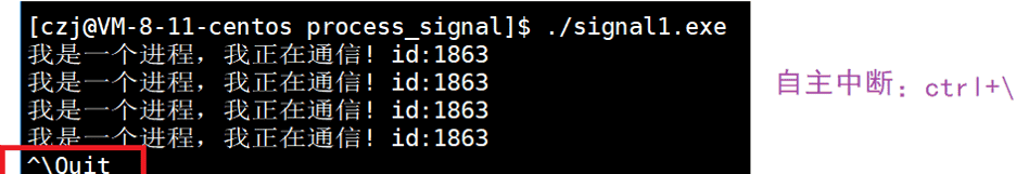 Linux——进程信号详解