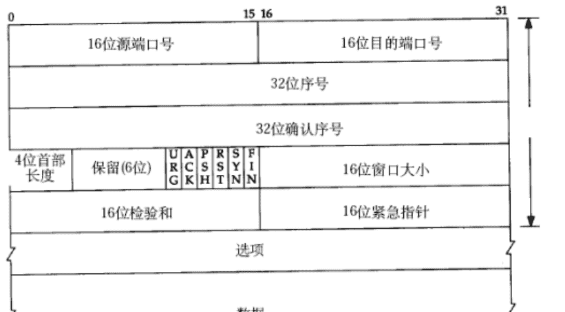 网络编程01-TCP协议（详）