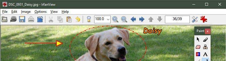 听劝收藏!电脑重装系统后,第一时间装上这11个免费软件
