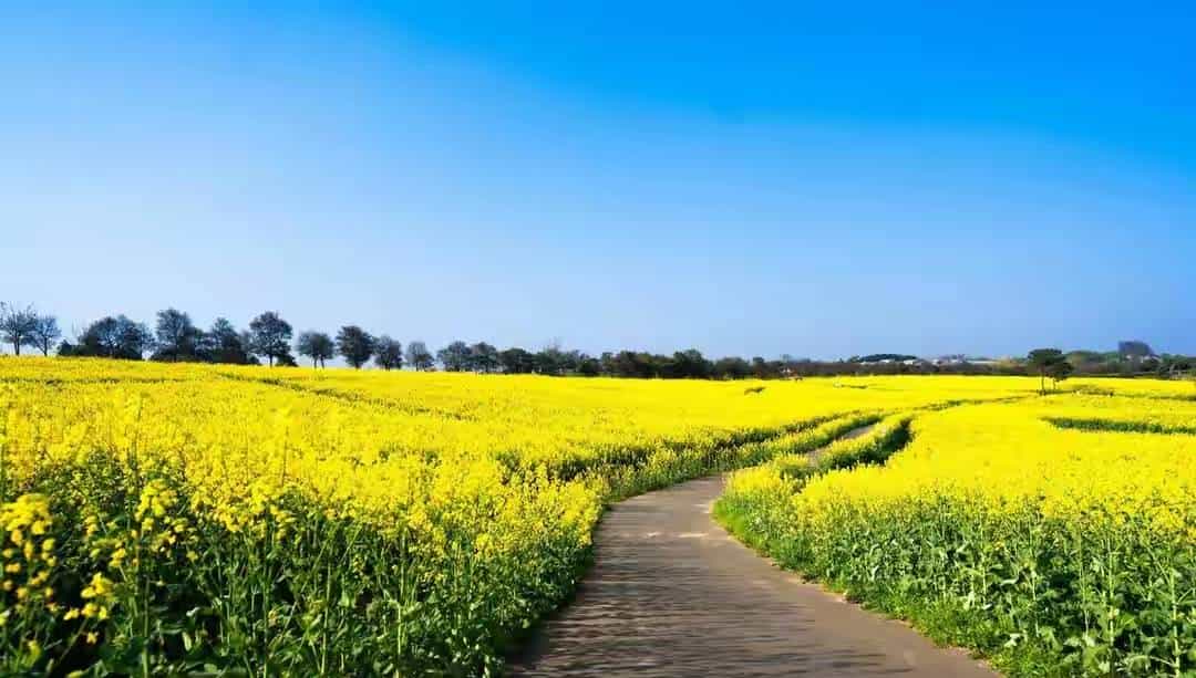 为孩子签收这份“好运签贵人马上到，人生一路开挂！深夜翻朋友圈