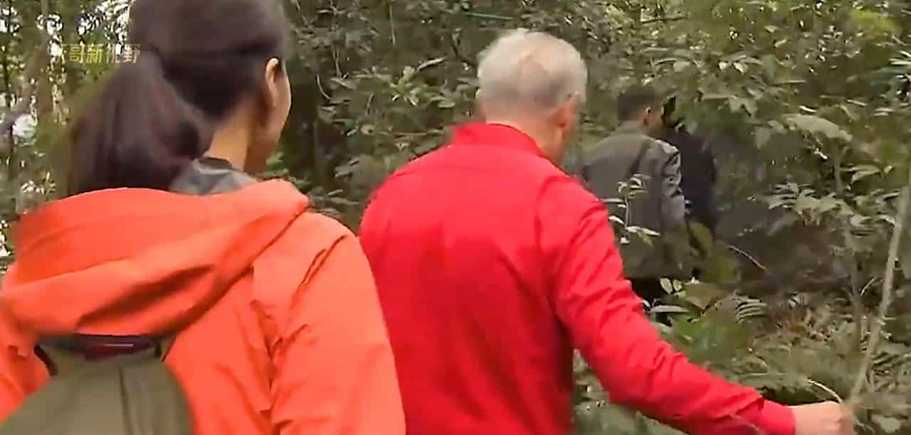 第13集如何种植银耳？古时价比黄金，