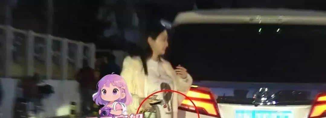 陈牧驰陈冰餐厅约会被拍，女方腹部隆起引怀孕猜测