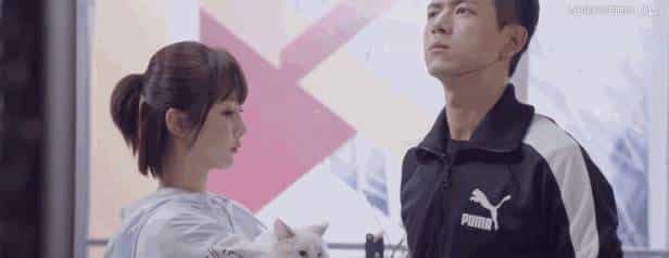 我佩服这顶流敢在巅峰期玩消失