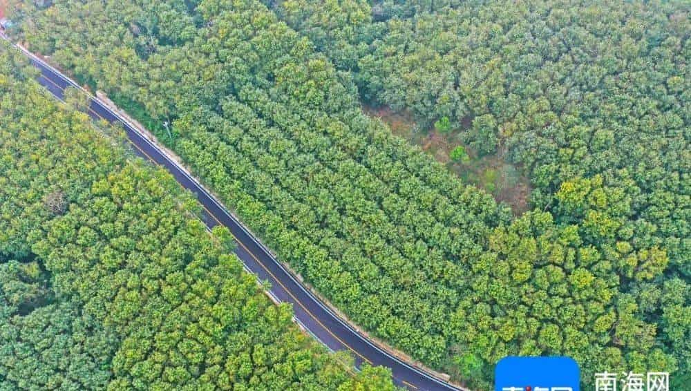 “路”越山海·陆路 | 75载车轮下的海岛变迁