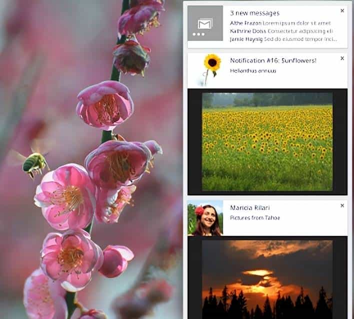 Chrome扩展插件开发（节后更新QuickFrame）