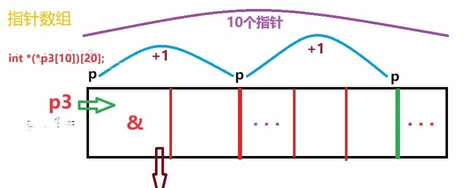 指针和数组:重点