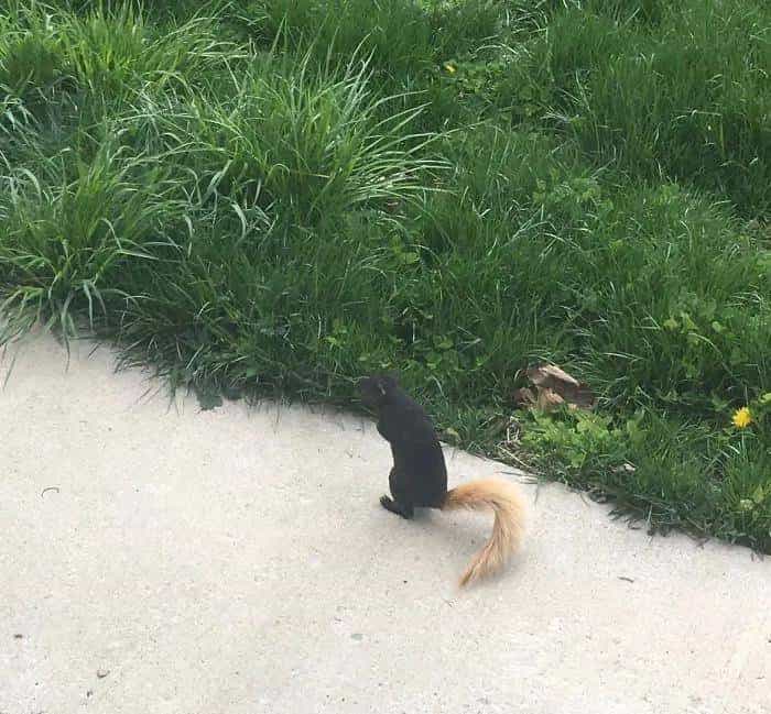 「双语」歪果仁带你看惊喜的大自然瞬间，有的你这辈子都看不到